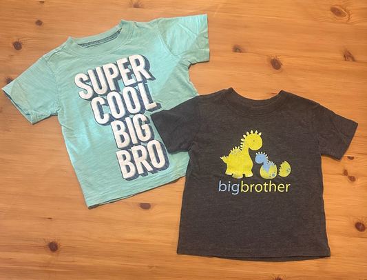 2pc Big Bro Tees T-Shirts-Mint Green/Gray w/ Dinos Great for Announcing New Baby or Praising Great Big Brothers! 2T