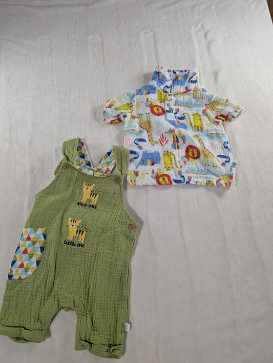 Exersaucer 6-9 mo boys shirt & overalls "Wild One" Green overalls and shirt with wild animals 9 Months