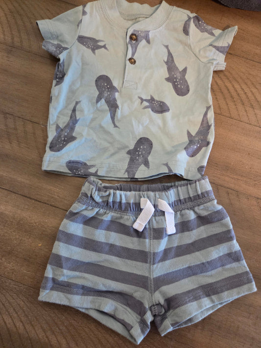 Carters 0-3 Newborn