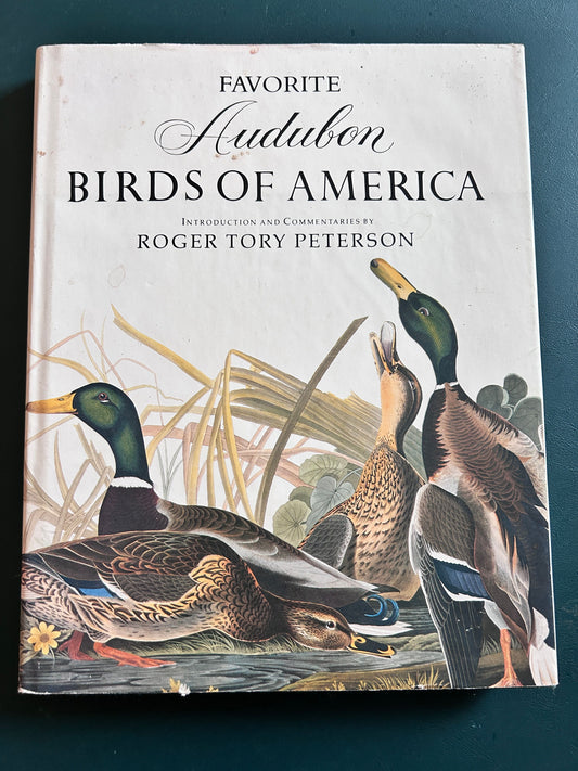 Audubon Birds of America - color sketches of birds large 9x11 with 165 pages text & sketch on each bird Book-Adults