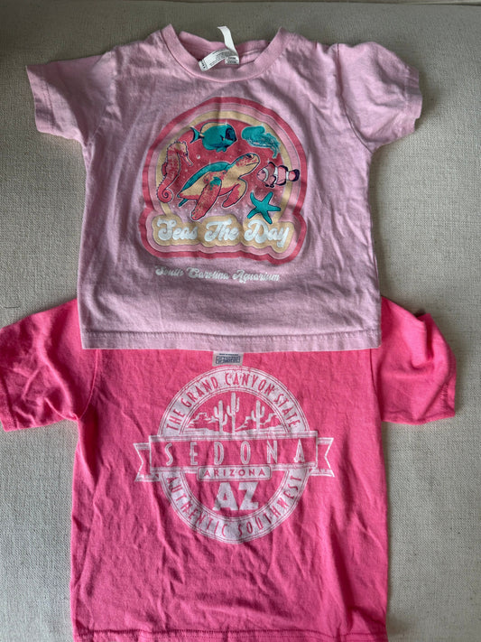 Graphic tees Destination graphic tee bundle 3T