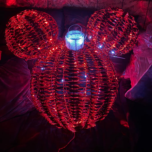 Christmas Decorations - electric- light - NEW Mickey Mouse Head - 23x33 - Outdoor