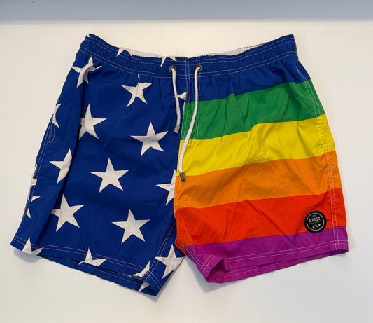 Exist Rainbow Swim Shorts Men's - XXL