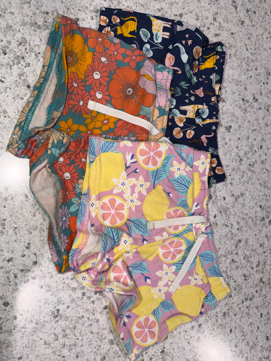 Carters 3 pairs of shorts 18 Months