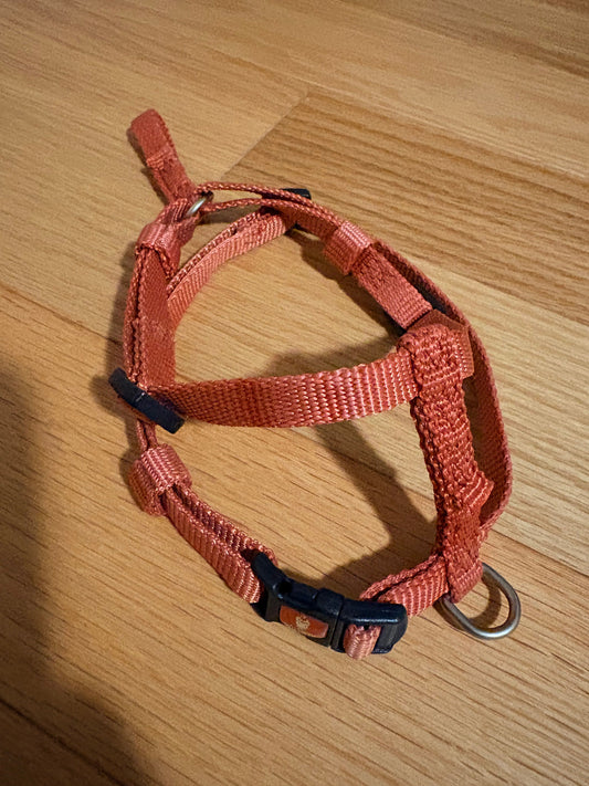 Hamilton XS orange dog harness For XS dogs or puppies, measures 3/8" Wide by 10-16" Length