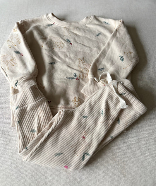 Cat & Jack GUC matching Christmas reindeer set 2T