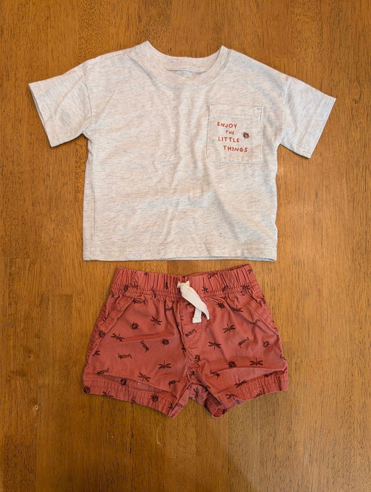 6m, 2 piece - light gray t shirt red shorts w/insects 6 Months