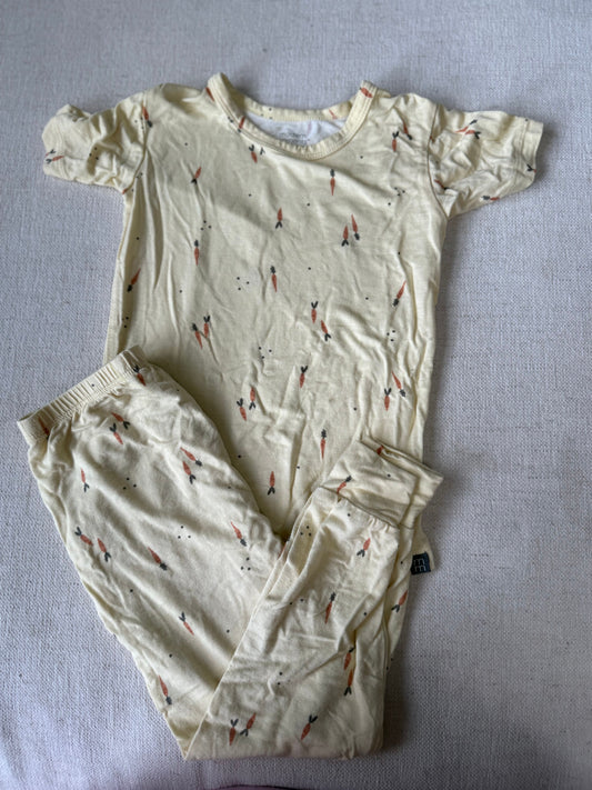 Modern moments GUC carrot bamboo pj set 3T