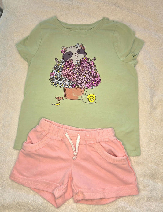 Cat & Jack and 365 Kids Girls' Size 4 Green Raccoon T-Shirt and Pink Terrycloth Shorts 4T/4