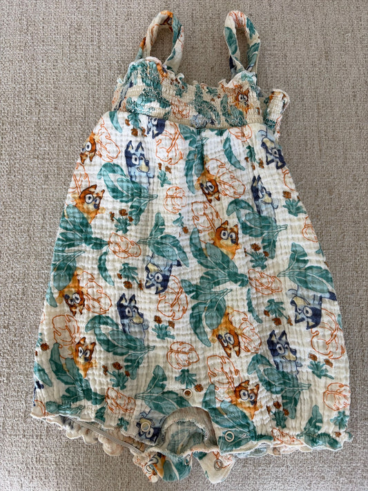 Target Bluey 12 Month Romper Bluey and Bingo, Flowers 12 Months