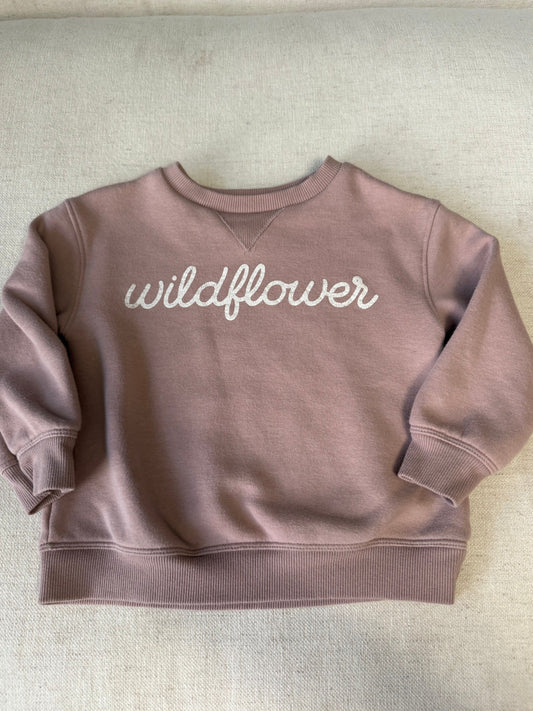 Little Co GUC wildflower sweatshirt 2T