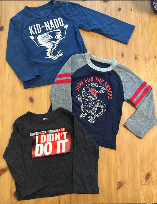3pc Children's Place LS Tees T-Shirts KID-NADO Here for the Snacks Dinosaur, I Didn't Do It News Headline 18 Months