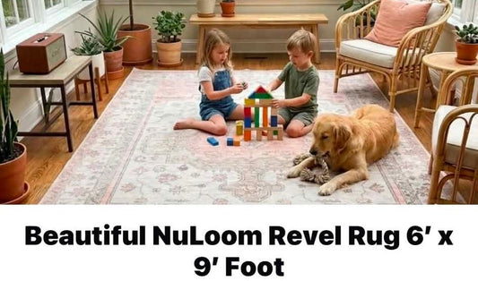 Beautiful NuLoom Revel Rug 6 x 9 Foot Perfect for any room in your home.  Like New. Miscellaneous