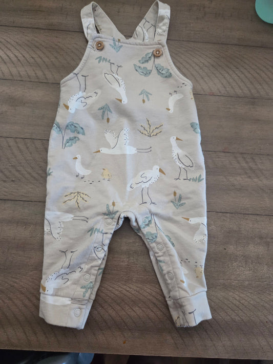 Carters  6 Months