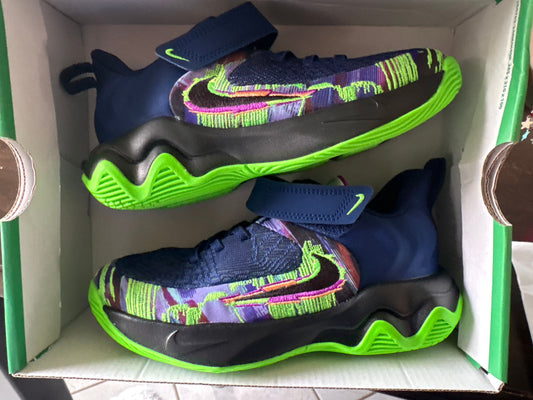 Nike, 2Y , Sneaker Blue, Green, Purple, Brand New in Box Nike Giannis Immortality 2 (Big Kid)