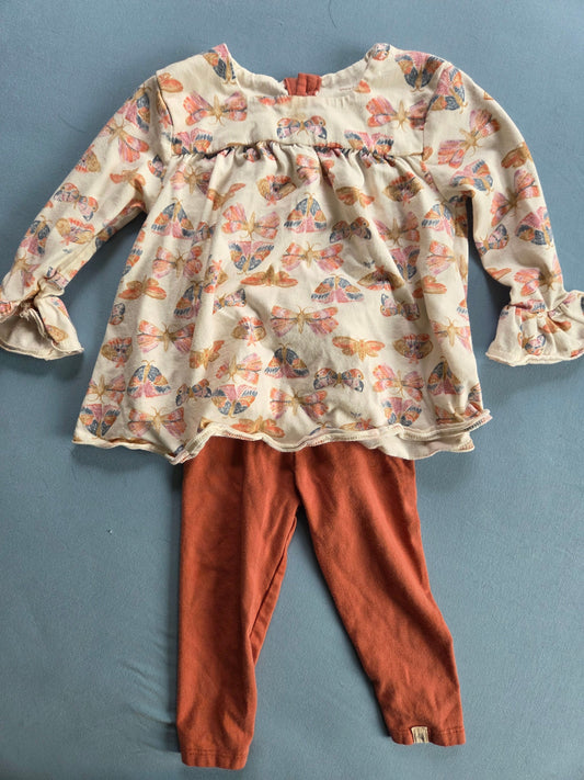 Burt's Bees - 12m Butterfly / moth long sleeve outfit 12 Months