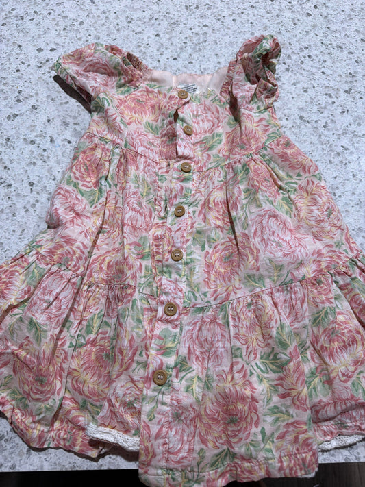 Joie Dress 2T