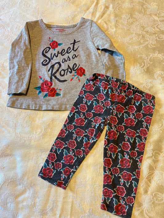 Healthtex, 18m Sweet as a Rose gray long sleeve shirt with rose pants 18 Months