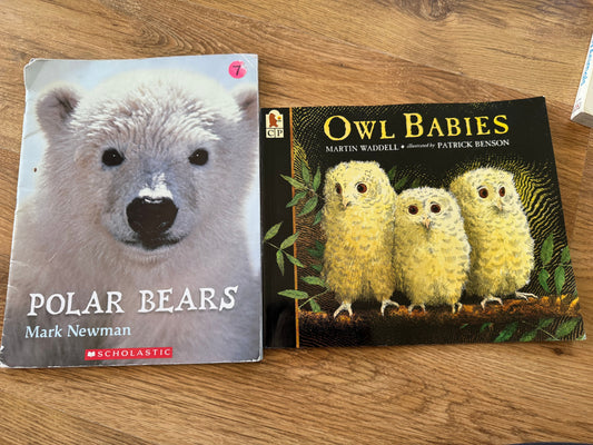 Different brands Book about owl and polar bear Book-Fiction