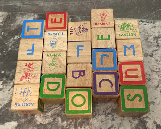 Winnie the Pooh Oversized Wooden Blocks 20pc Blocks w/ Pooh Outlines and Letters on Each Side! Building
