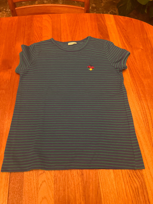 FAST FRIENDS size 14 Blue and green stripe pique shirt with small embroidered ladybugs 14