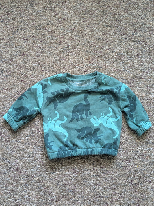 Primark: 3-6 months, runs a little large Green dinosaur sweatshirt with elastic bottom 3 Months
