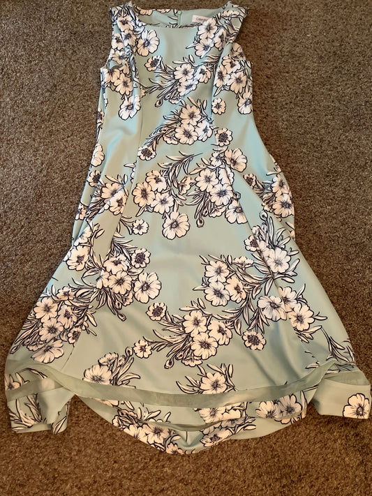 Calvin Klein Floral Dress Women's 8