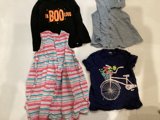 Variety 1 sweatshirt 1tee 1 dress 1 sleeveless shirt 4T/4
