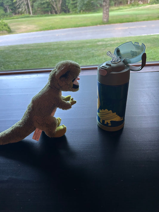 Thermos Dinosaur Water Bottle and Demdaco Toy Kids insulated water bottle with flip-top lid and built-in straw.
