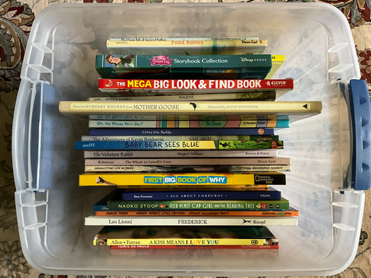 Hard Cover Books, 25 books and tote, all in excellent condition Early Reader