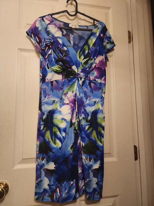 Dress Barn, short dress Blue, Green, Purple floral pattern Women's 10