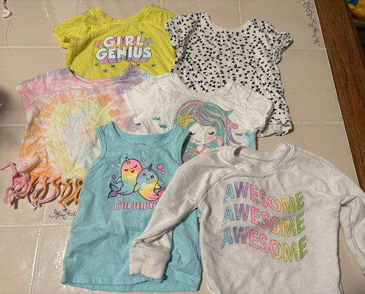 Granimals 6 Pack Shirts- 4 Tshirts, 1 Tank, 1 Long Sleeve 2T