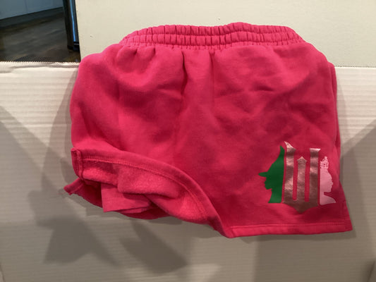 Universal brand Wicked pink skort 6