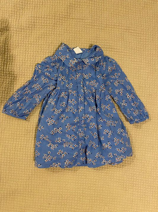 Gap Cotton long sleeve dress with liner 12 Months